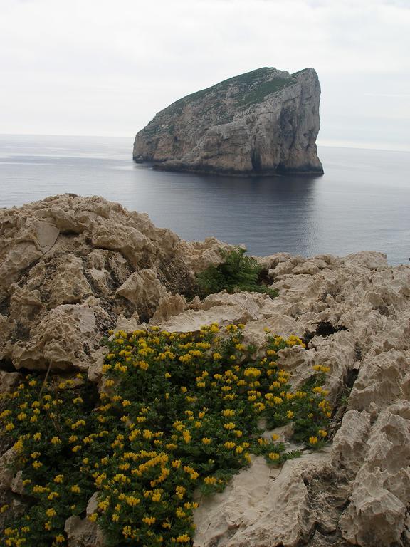Giramondo Sardegna Affittacamere Альгеро Екстер'єр фото